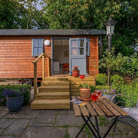 Hotel Hawthorn Hut Kilkenny Glamping At Jenkinstown House Jenkinstown Park Esterno foto