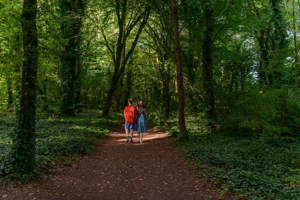 Hotel Hawthorn Hut Kilkenny Glamping At Jenkinstown House Jenkinstown Park Esterno foto
